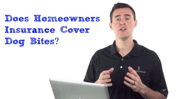 Does homeowners insurance cover dog bites